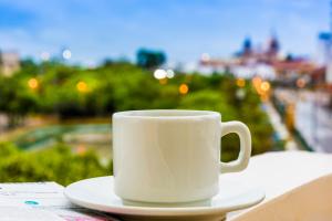 hotel dorado plaza centro historico