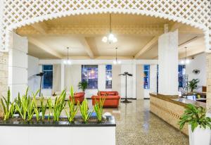 hotel dorado plaza centro historico