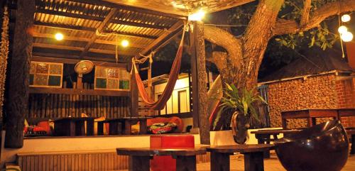 the lazy dog bed and breakfast