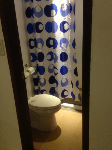 the lazy dog bed and breakfast