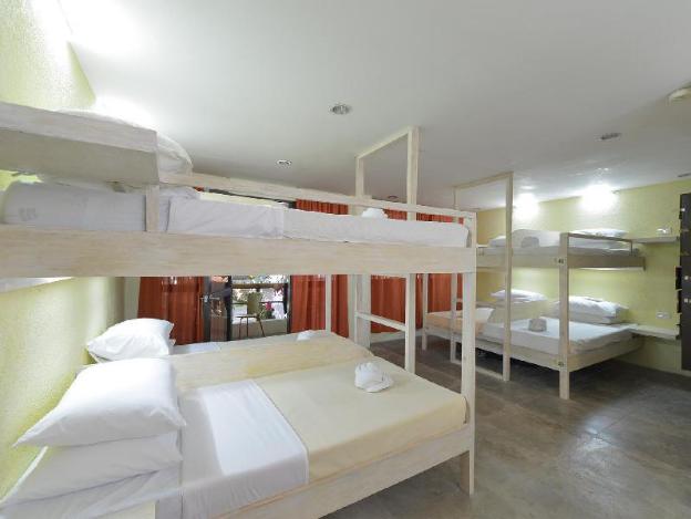 the lazy dog bed and breakfast