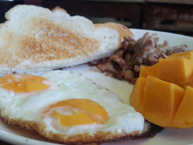 the lazy dog bed and breakfast