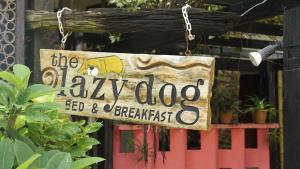 the lazy dog bed and breakfast