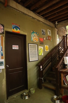 the lazy dog bed and breakfast