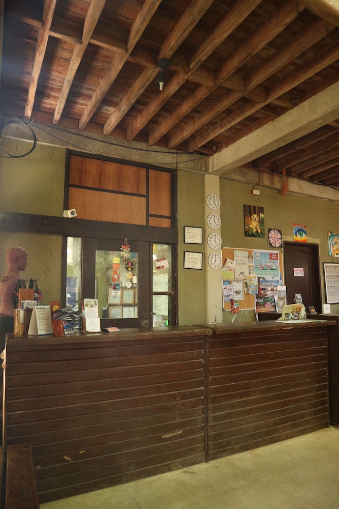 the lazy dog bed and breakfast