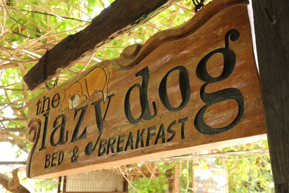 the lazy dog bed and breakfast