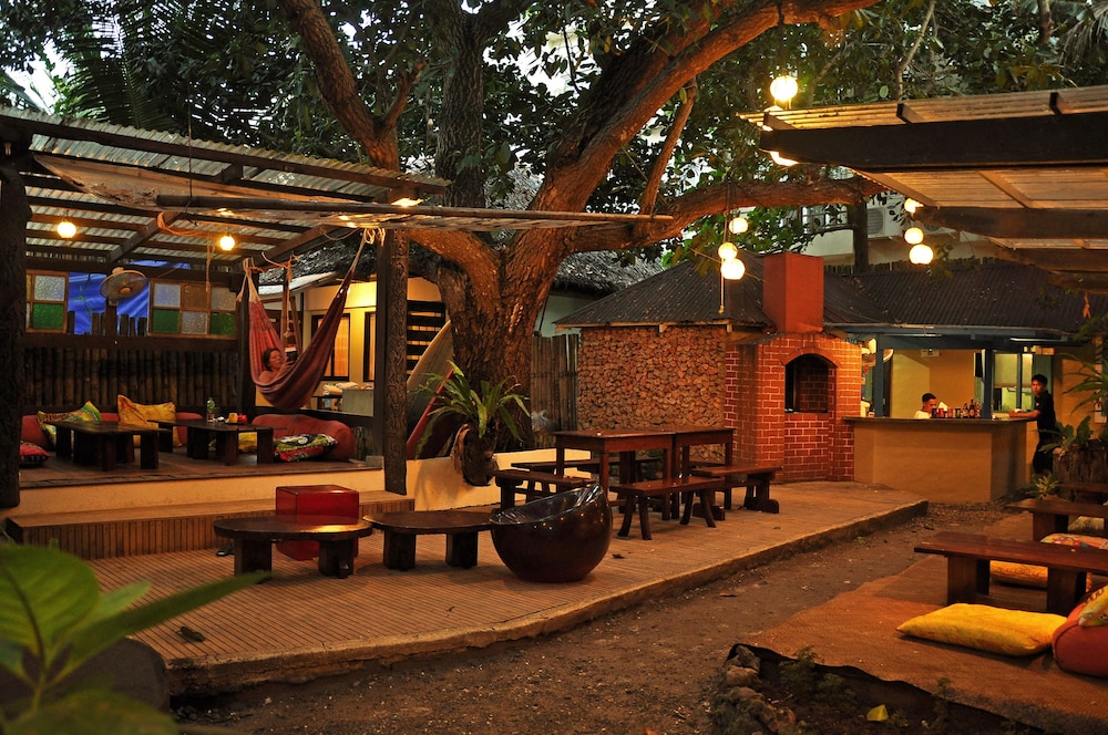 the lazy dog bed and breakfast