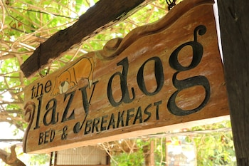 the lazy dog bed and breakfast