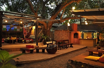 the lazy dog bed and breakfast