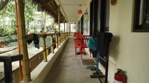 the lazy dog bed and breakfast