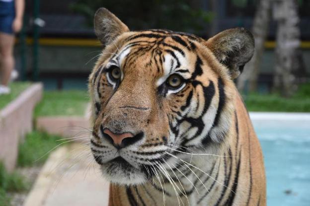 sira boutique newly renovated