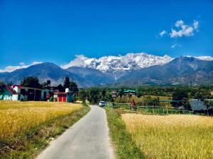 palampur