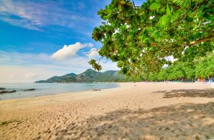 First Bungalow Beach Resort,Chaweng Beach>>Bophut,3 star