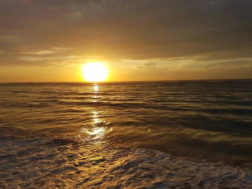 montien house chaweng beach resort