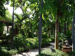 montien house chaweng beach resort