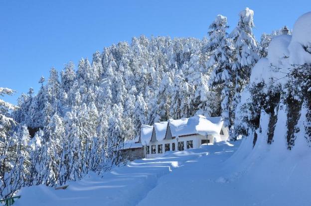 the twin towers hotel new kufri