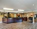 morningglory inn and suites