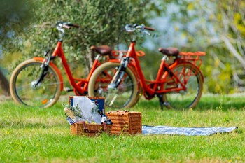 garrigae abbaye de sainte croix