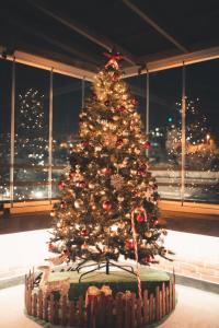 the amman pasha hotel