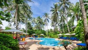 bamboo village beach resort and spa