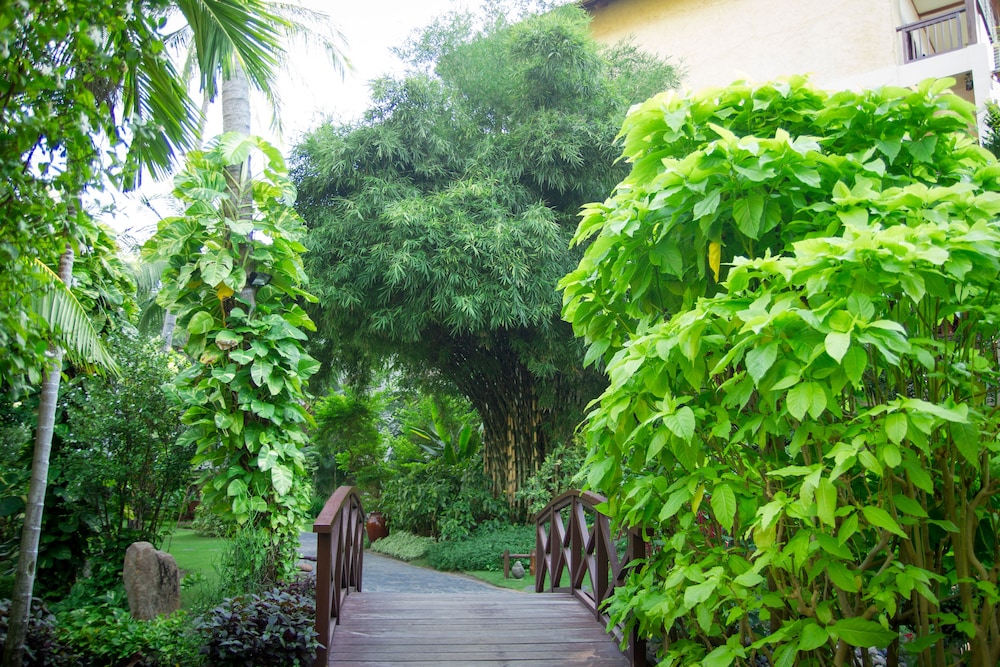 bamboo village beach resort and spa