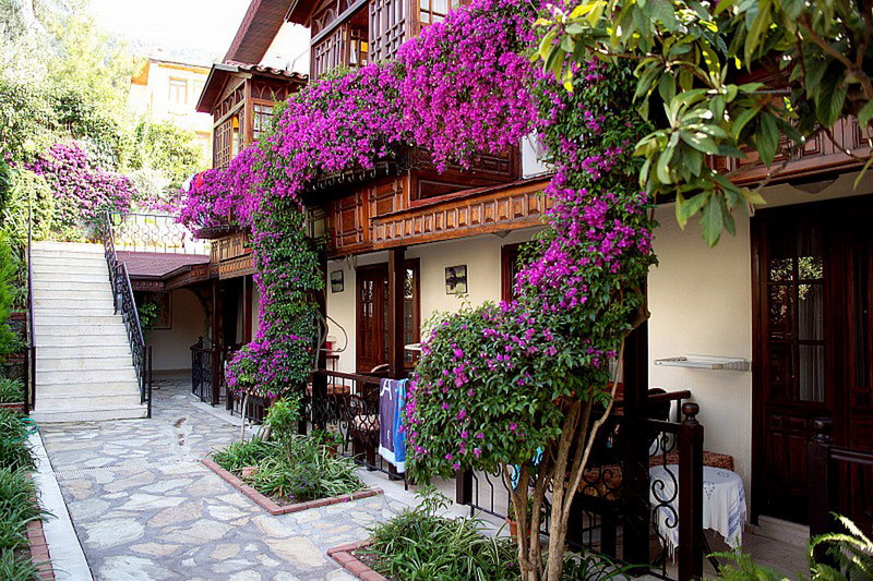villa daffodil