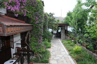 villa daffodil
