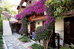 villa daffodil