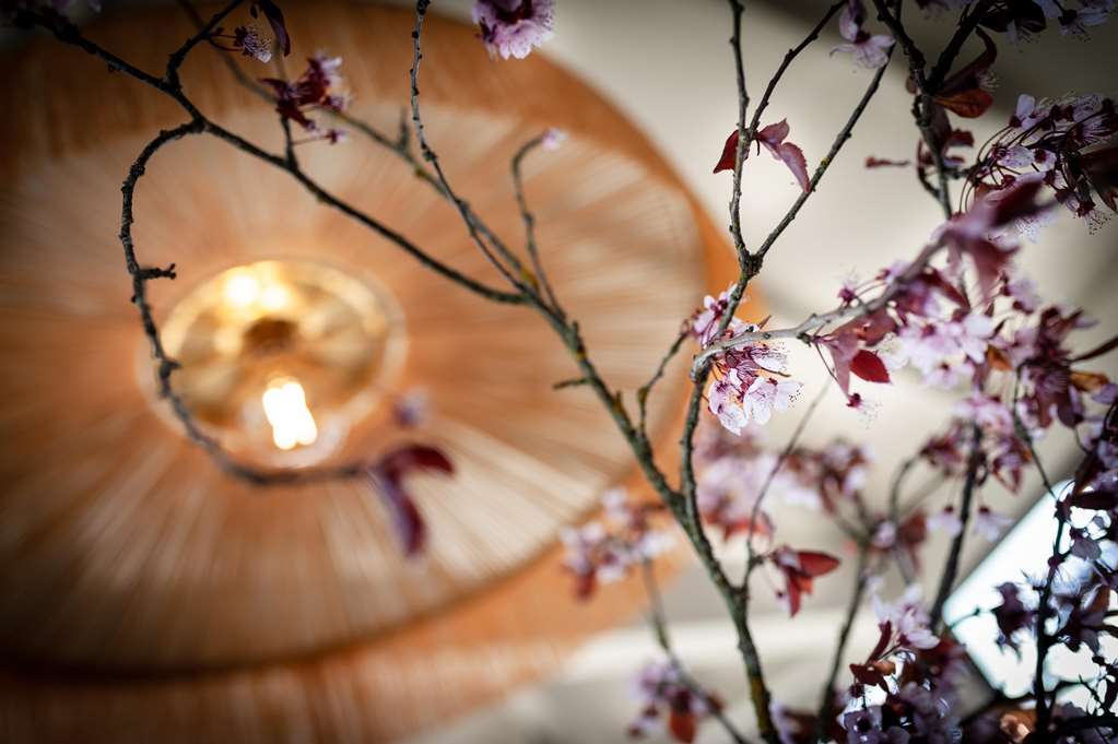 kyriad nuits saint georges