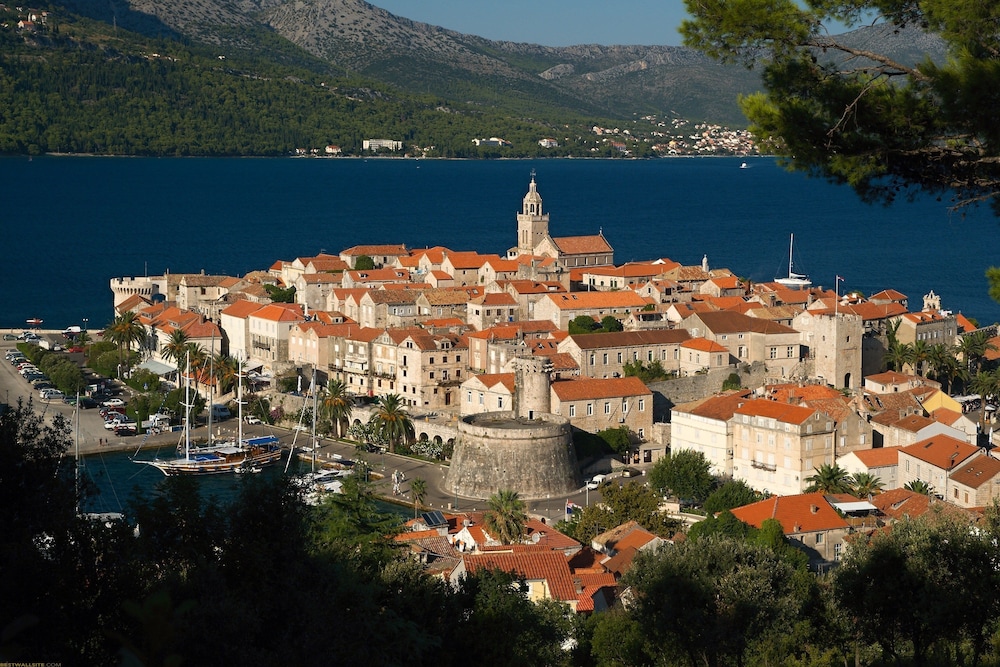 accommodation vitaic