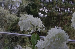 la roche en ardenne