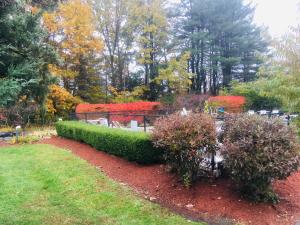 anchorage inn of rochester