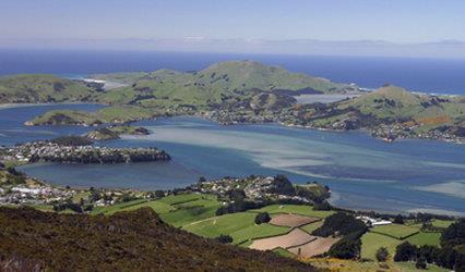 fable dunedin