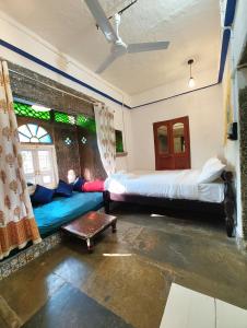 piggy hostel udaipur