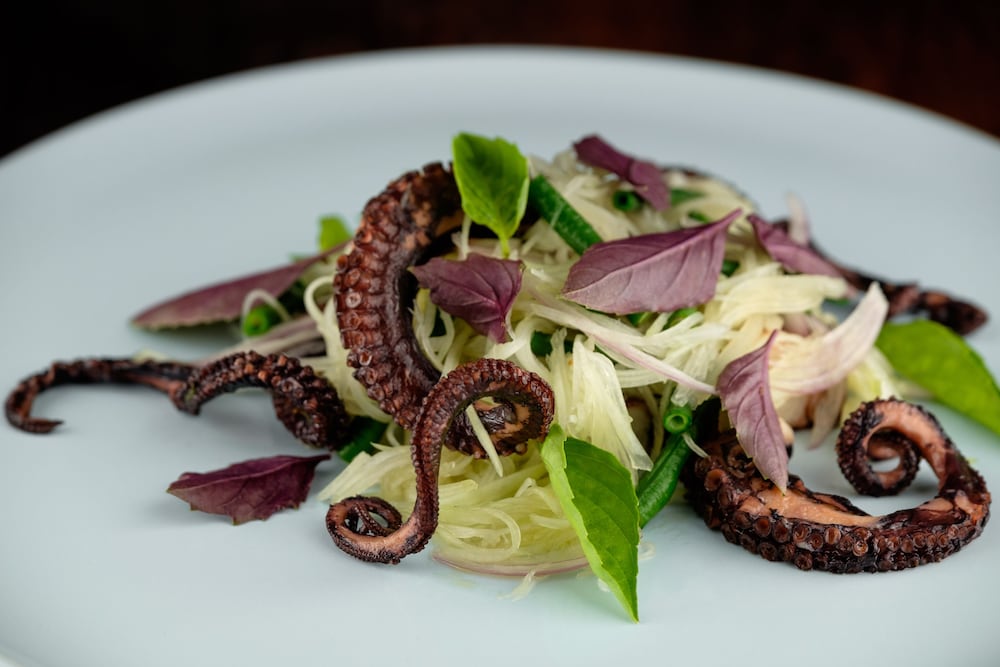 likuliku lagoon resort adults only