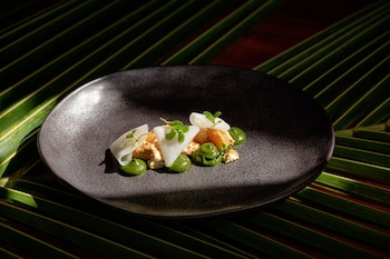 likuliku lagoon resort adults only