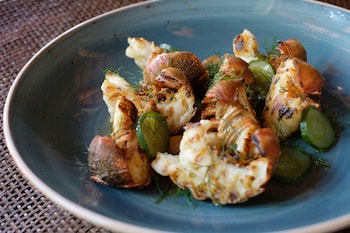 likuliku lagoon resort adults only