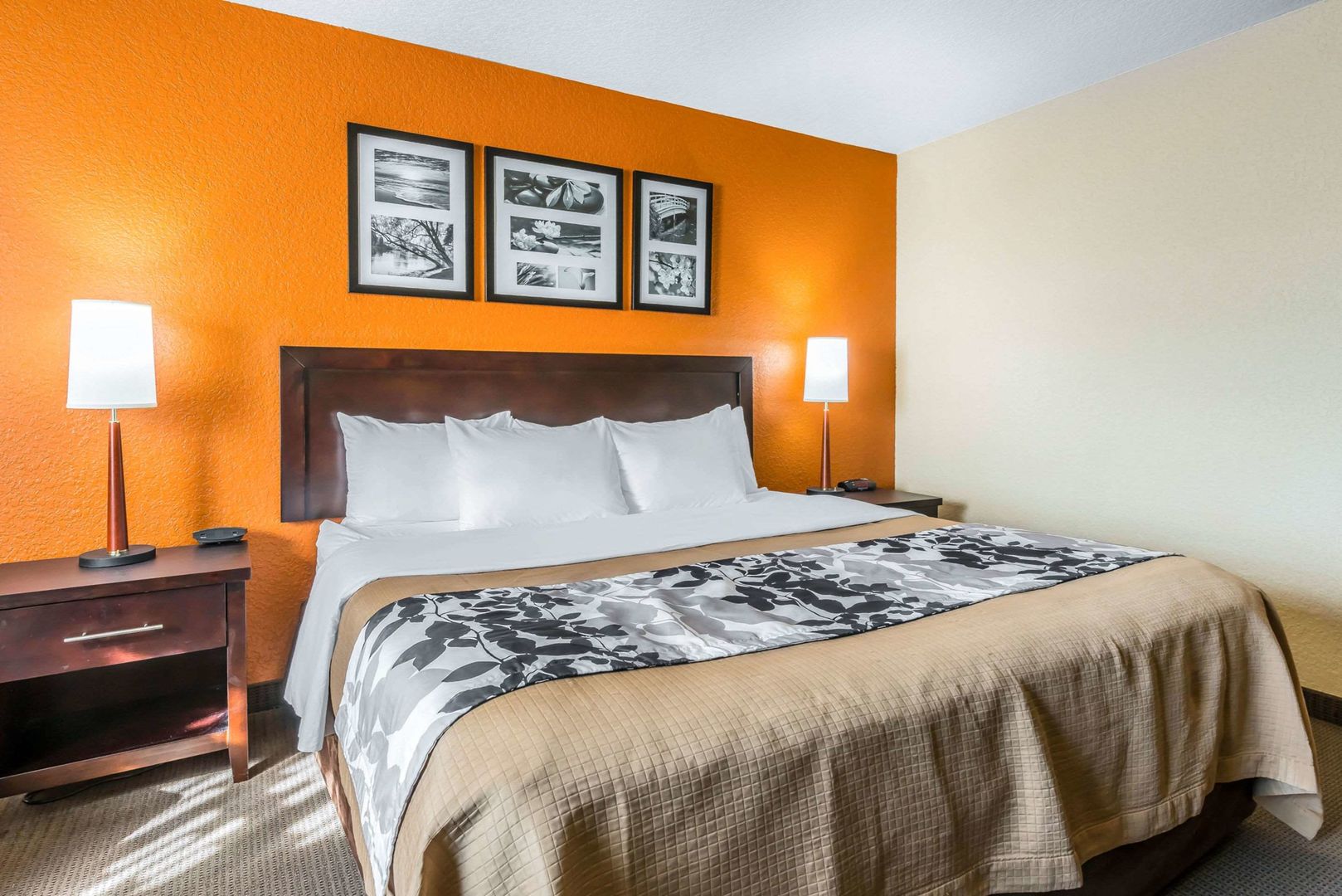 sleep inn and suites ocala belleview