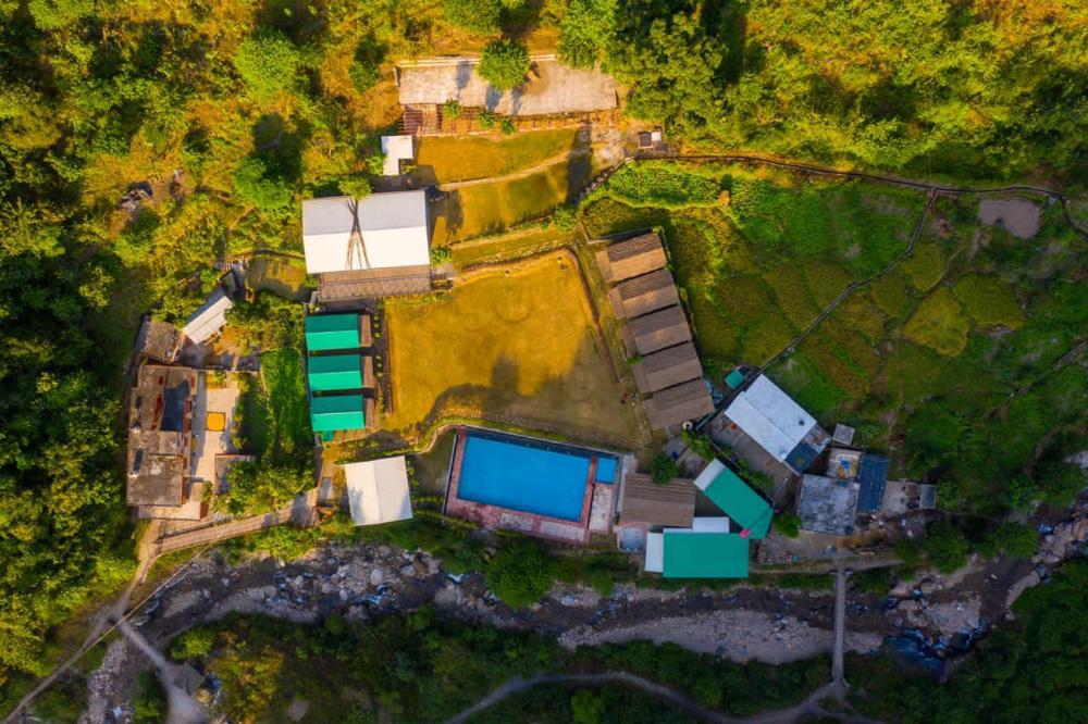 jungle gadera by xtreeme