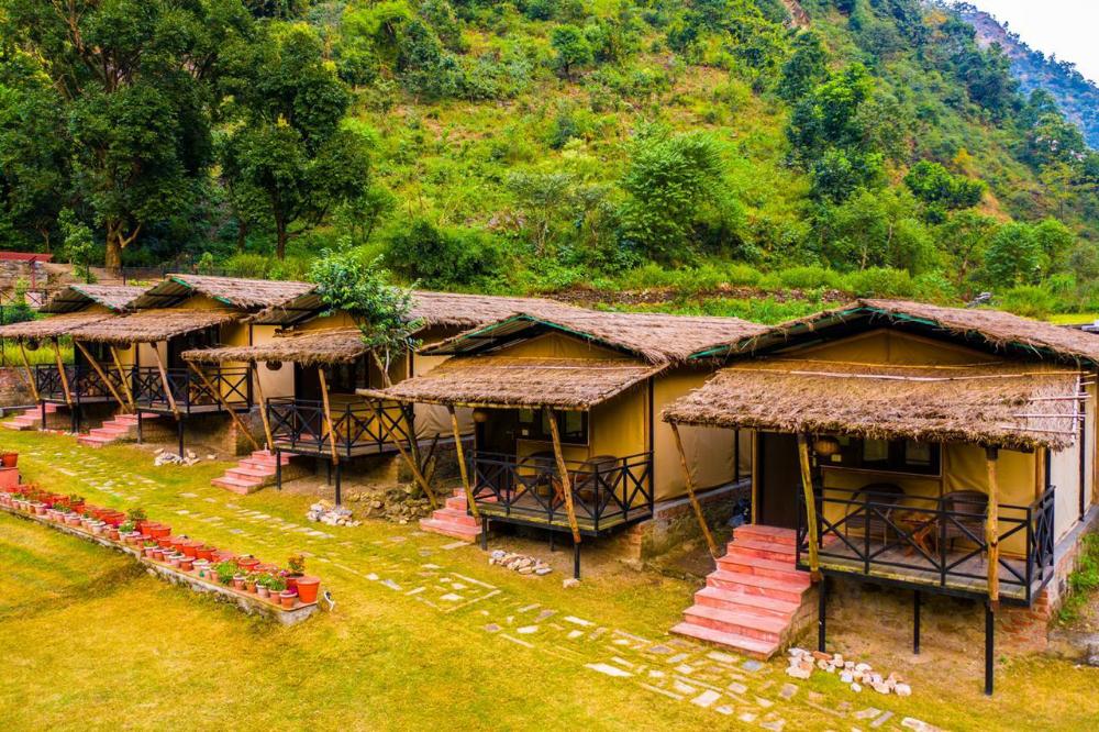 jungle gadera by xtreeme