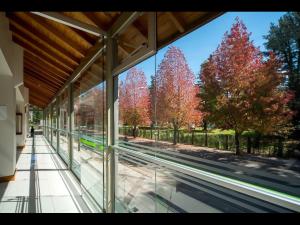 hotel laghetto premio