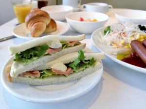 hotel vista sapporo nakajimakohen