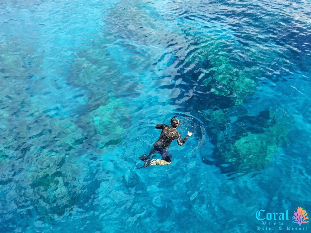 coral view hotel and resort
