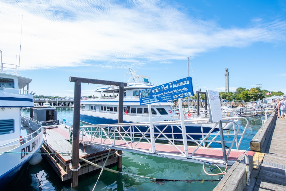 admirals landing adults only