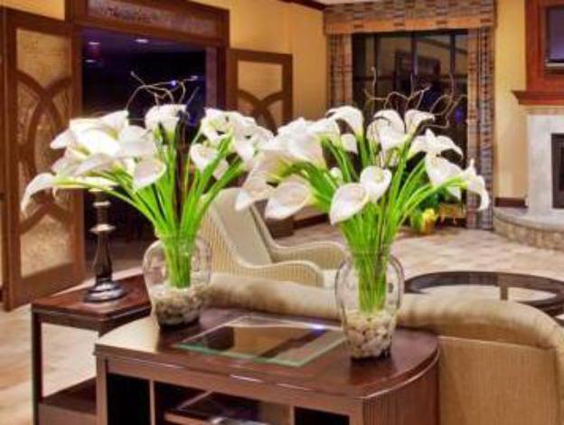 holiday inn quincy east by ihg