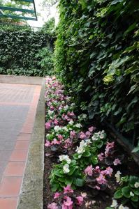 ontur butik otel ankara boutique class