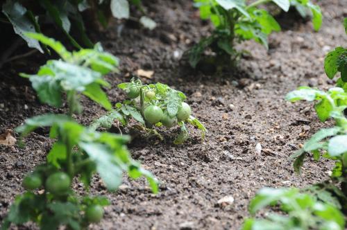 ontur butik otel ankara boutique class