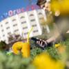 Orucoglu Thermal Resort,Afyonkarahisar Province>>Afyonkarahisar,5 star