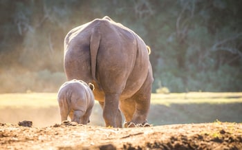 botlierskop private game reserve