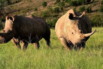 botlierskop private game reserve